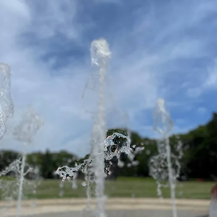 専門スキルが身につく