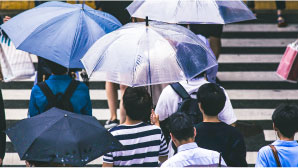 雨水対策